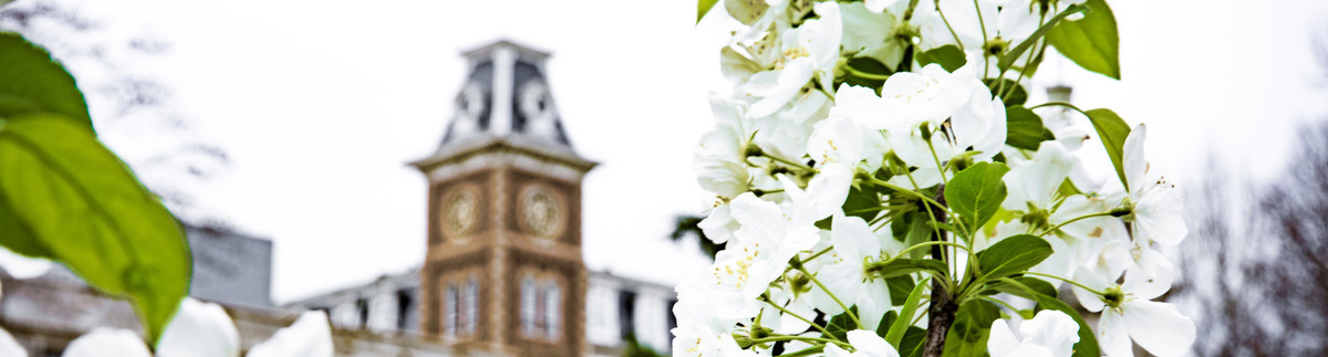 Old Main with flower
